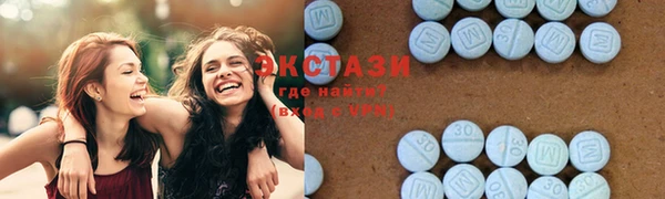 ECSTASY Богданович