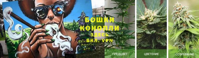 купить закладку  KRAKEN рабочий сайт  Бошки Шишки SATIVA & INDICA  Полысаево 